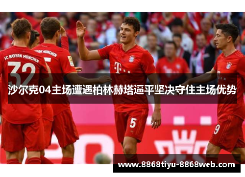 沙尔克04主场遭遇柏林赫塔逼平坚决守住主场优势